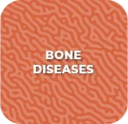 bone