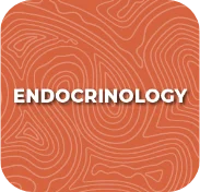 endocrinology